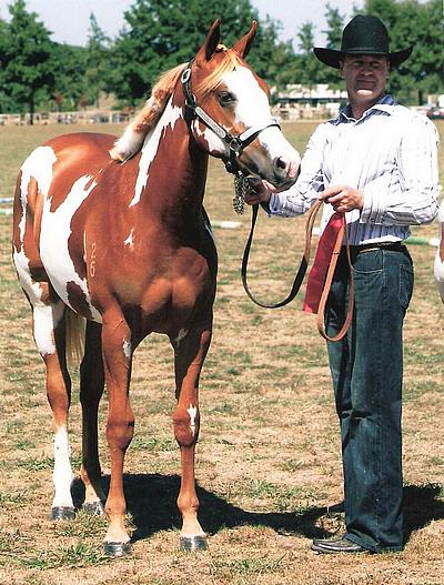 Silverados Prettimpressive