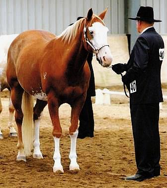 Lonestar & Derek McMillan