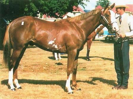 San Del Rio & Mathew Evans