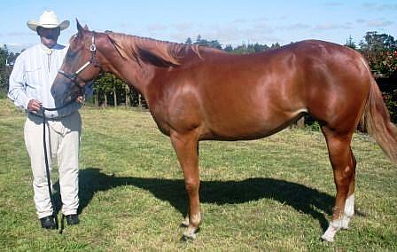 Silverados conclusive Chic & Colin Mikaere