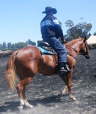 Silverados conclusive chic & Colin Mikaere