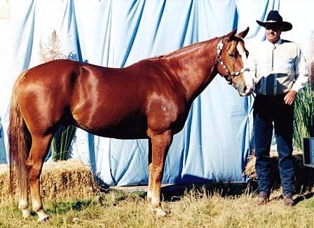 Silverados Redfeather