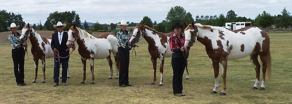 Prairie Windsong Fillies