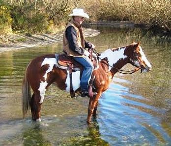 Silverados Prettimpressive - Western