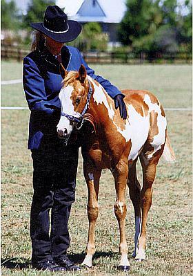 Silverados Prettimpressive (3mths) 07 Paint Nationals
